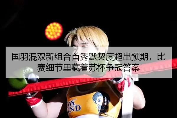 guo-yu-hun-shuang-xin-zu-he-shou-xiu-mo-qi-du-chao-chu-yu-qi-bi-sai-xi-jie-li-cang-zhe-su-bei-zheng-guan-da-an-2-605.jpg